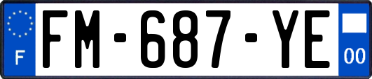 FM-687-YE
