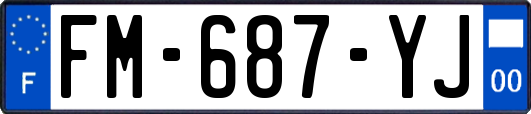 FM-687-YJ