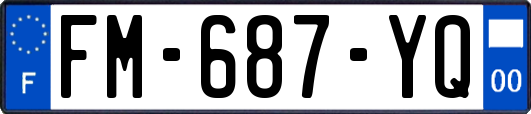 FM-687-YQ