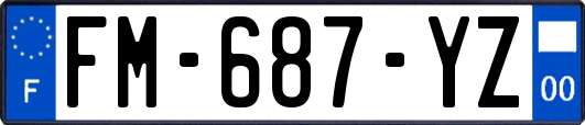FM-687-YZ