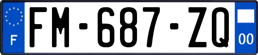 FM-687-ZQ