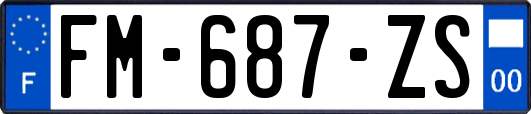 FM-687-ZS