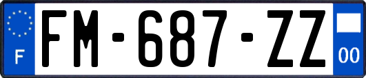FM-687-ZZ
