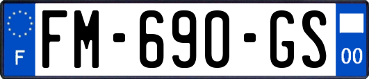 FM-690-GS