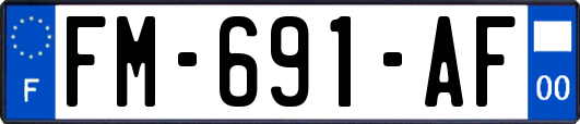 FM-691-AF