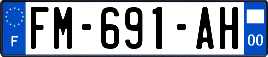 FM-691-AH