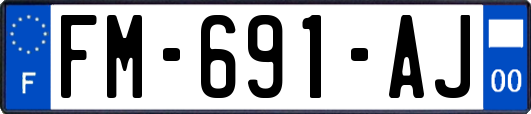 FM-691-AJ