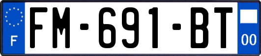 FM-691-BT