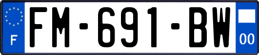 FM-691-BW