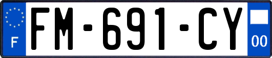FM-691-CY