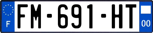 FM-691-HT