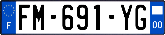 FM-691-YG