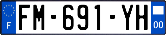 FM-691-YH