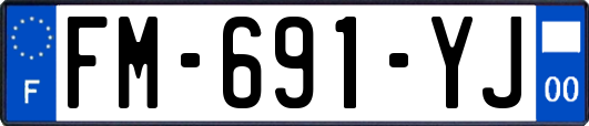 FM-691-YJ