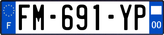 FM-691-YP