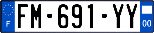 FM-691-YY