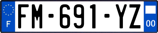 FM-691-YZ