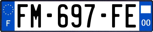FM-697-FE
