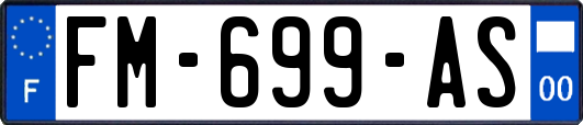 FM-699-AS