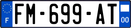 FM-699-AT