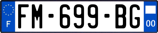 FM-699-BG