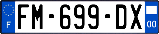 FM-699-DX