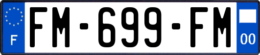 FM-699-FM