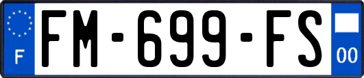 FM-699-FS