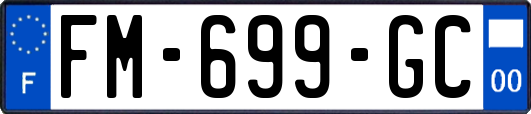 FM-699-GC