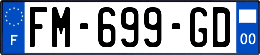 FM-699-GD