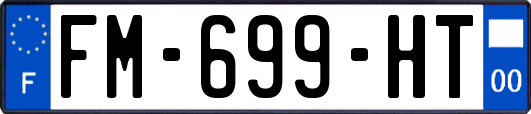 FM-699-HT
