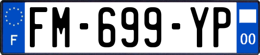 FM-699-YP