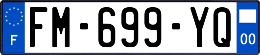 FM-699-YQ