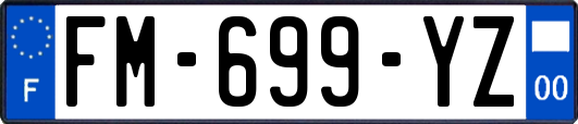 FM-699-YZ