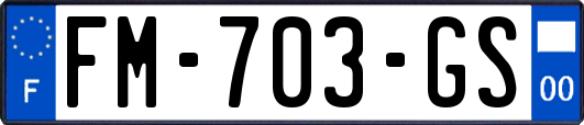 FM-703-GS