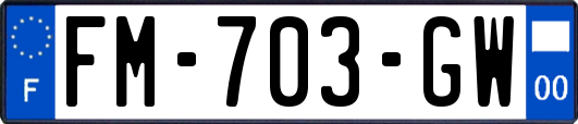 FM-703-GW