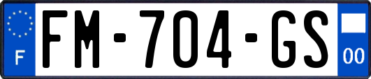 FM-704-GS