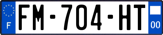 FM-704-HT