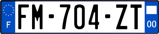 FM-704-ZT
