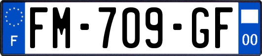 FM-709-GF