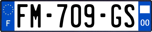 FM-709-GS