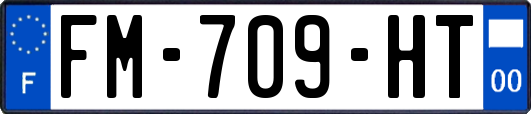 FM-709-HT