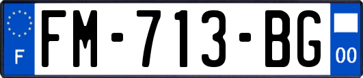 FM-713-BG