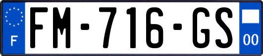 FM-716-GS