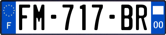 FM-717-BR