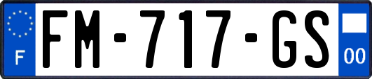 FM-717-GS