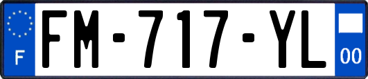 FM-717-YL