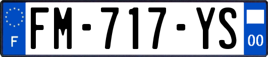 FM-717-YS