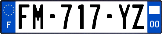 FM-717-YZ