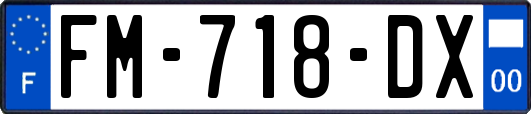 FM-718-DX